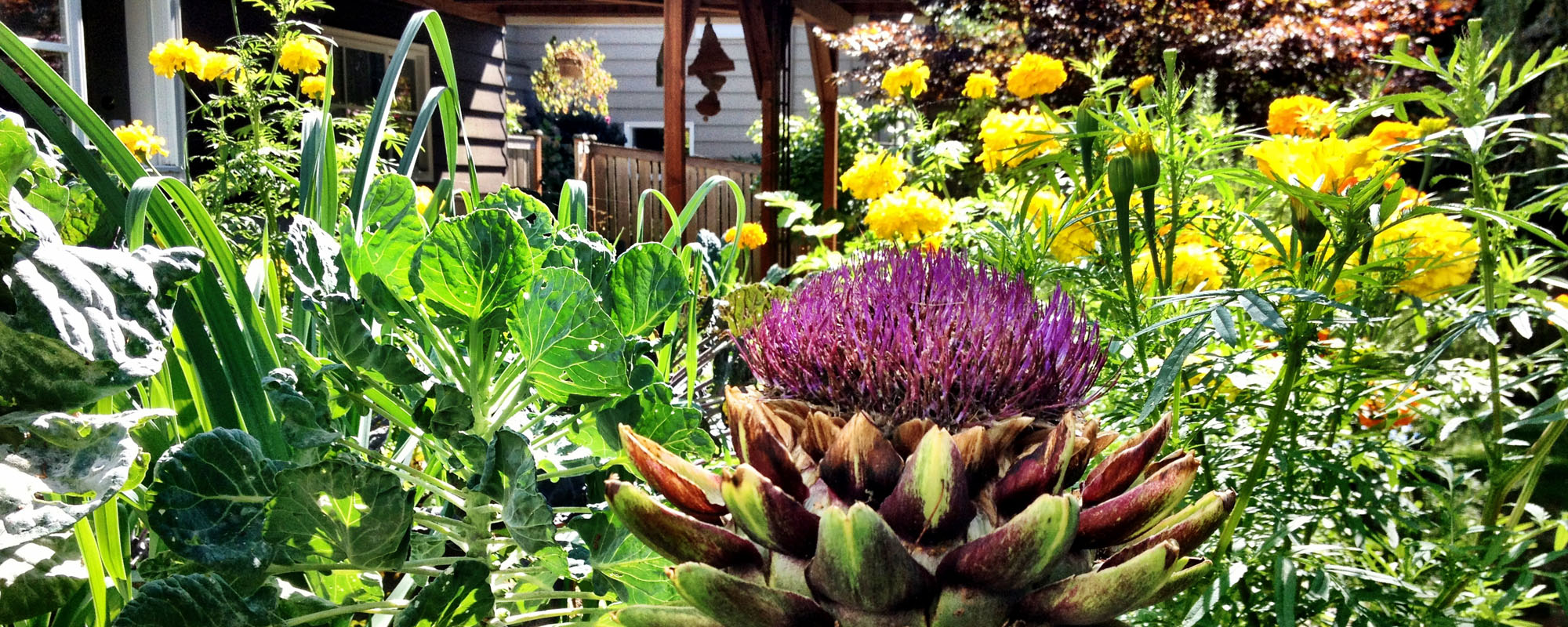 PageLines- garden1.jpg